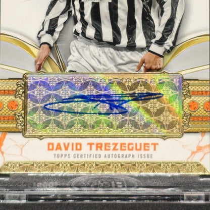 David Trezeguet Juventus — Japanese