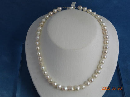 Akoya pearl necklace with 8-8.5mm pearls and silver one-touch SV925 rhodium clasp