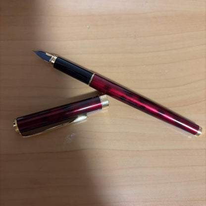 Close-up of a sleek black Pilot fountain pen with silver accents on a white background