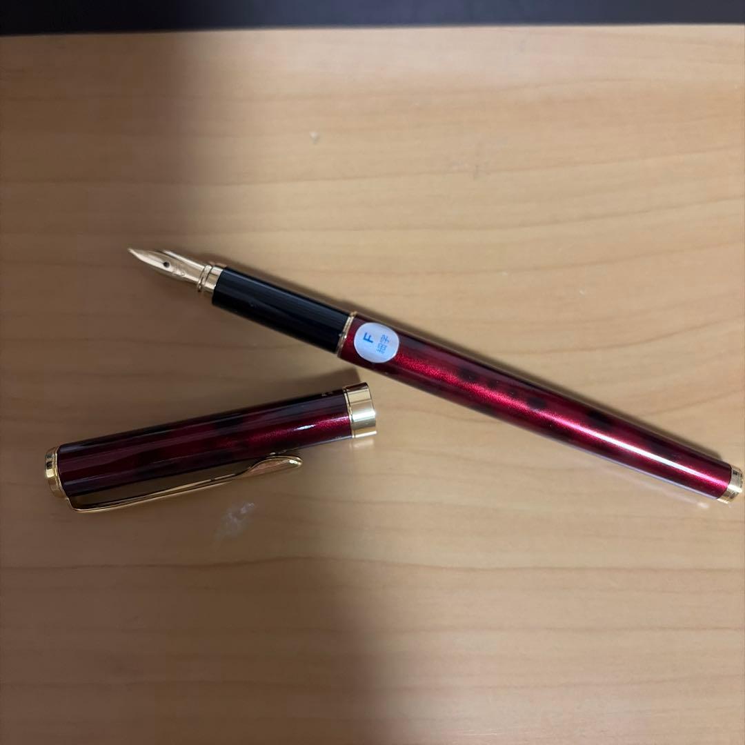 Close-up of a sleek black Pilot fountain pen with silver accents on a white background