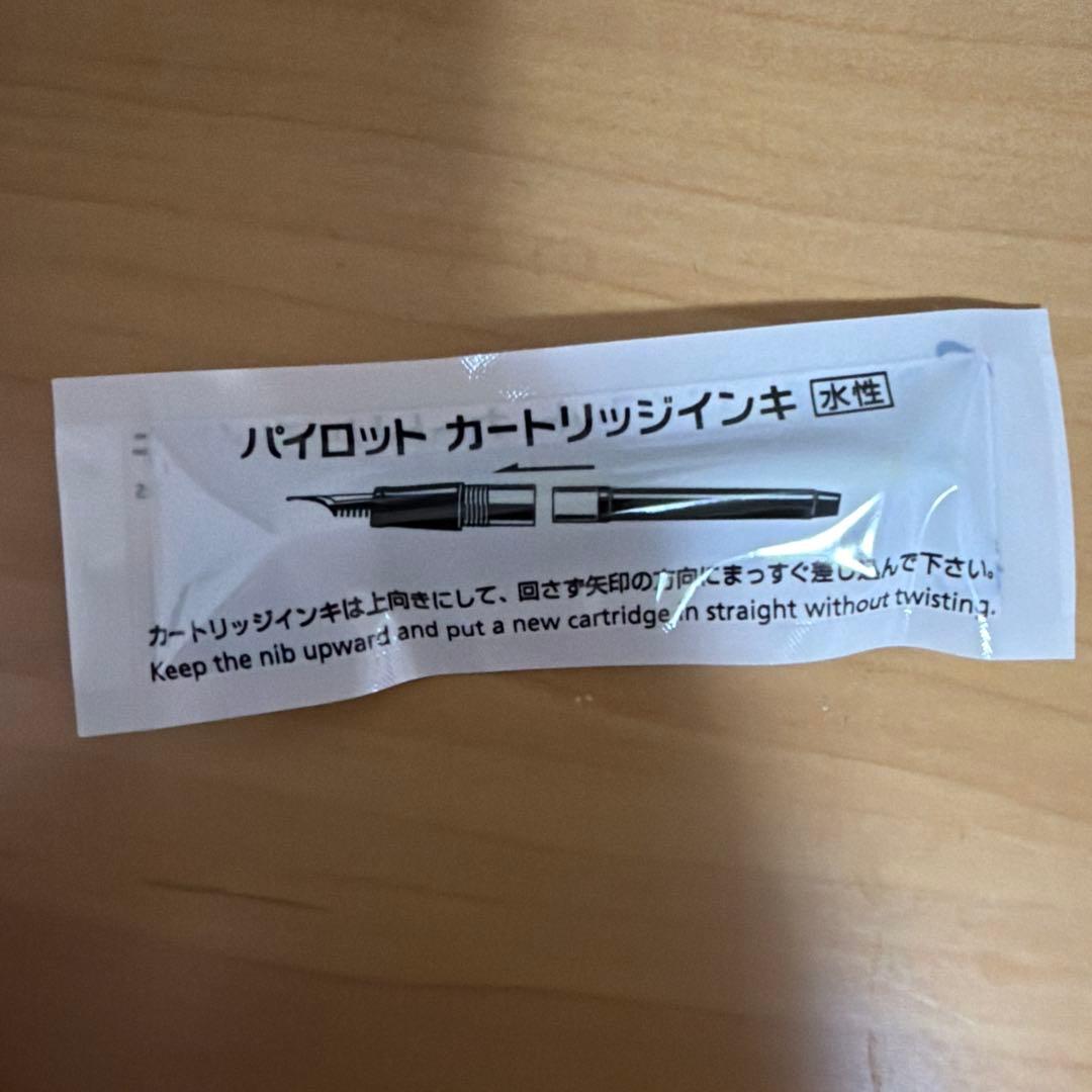 Close-up of a sleek black Pilot fountain pen with silver accents on a white background