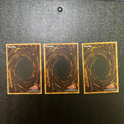 Yu-Gi-Oh Moonlit Lady Warrior — Japanese