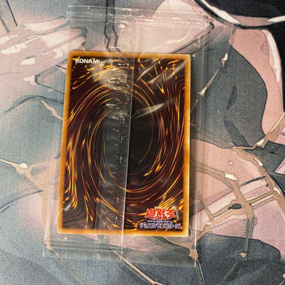 Yu-Gi-Oh Blue-Eyes White Dragon — Japanese