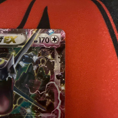 Pokemon Rayquaza ex PPROMO — 122/XY-P — Japanese