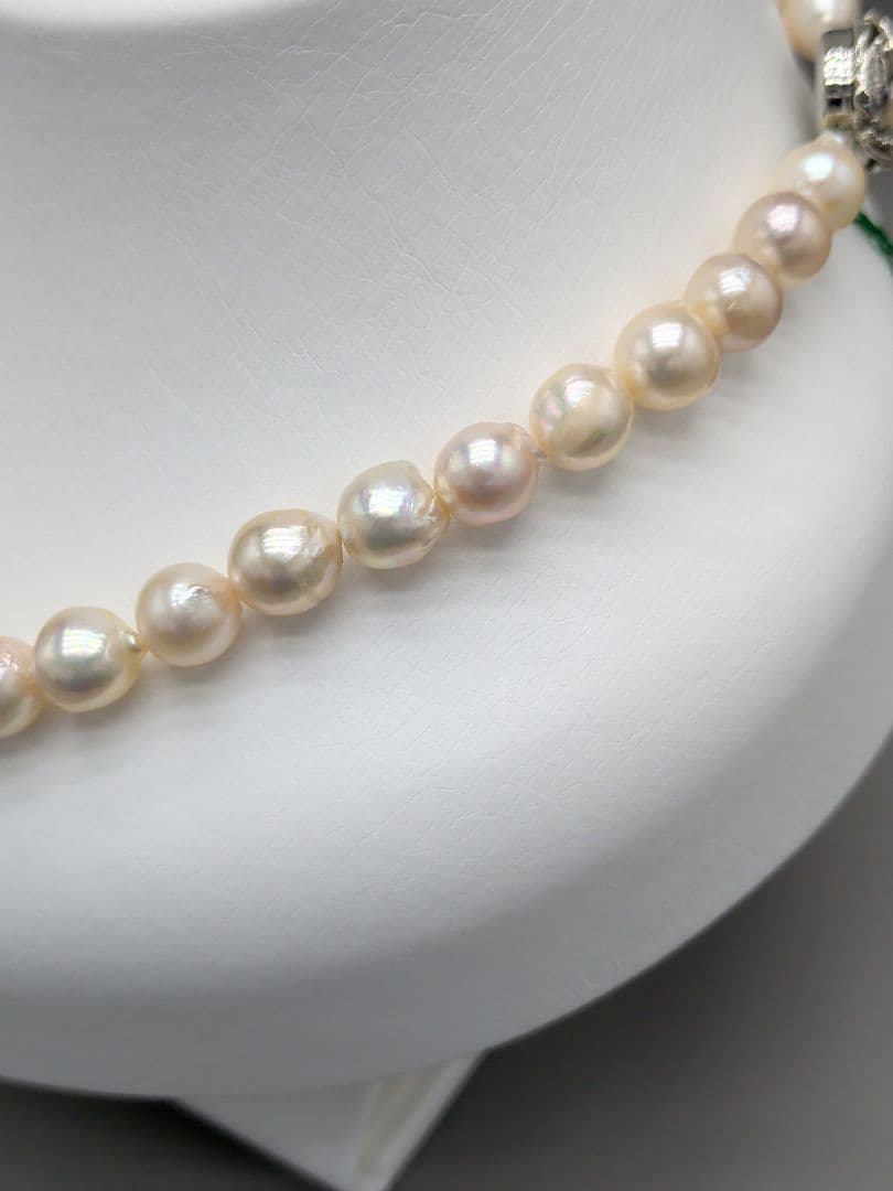 Akoya genuine pearl necklace 8.5–9mm Aurora Champagne series 42.2cm with silver clasp