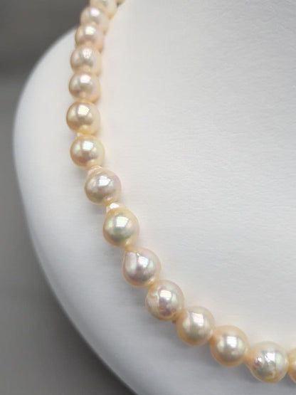 Akoya genuine pearl necklace 8.5–9mm Aurora Champagne series 42.2cm with silver clasp