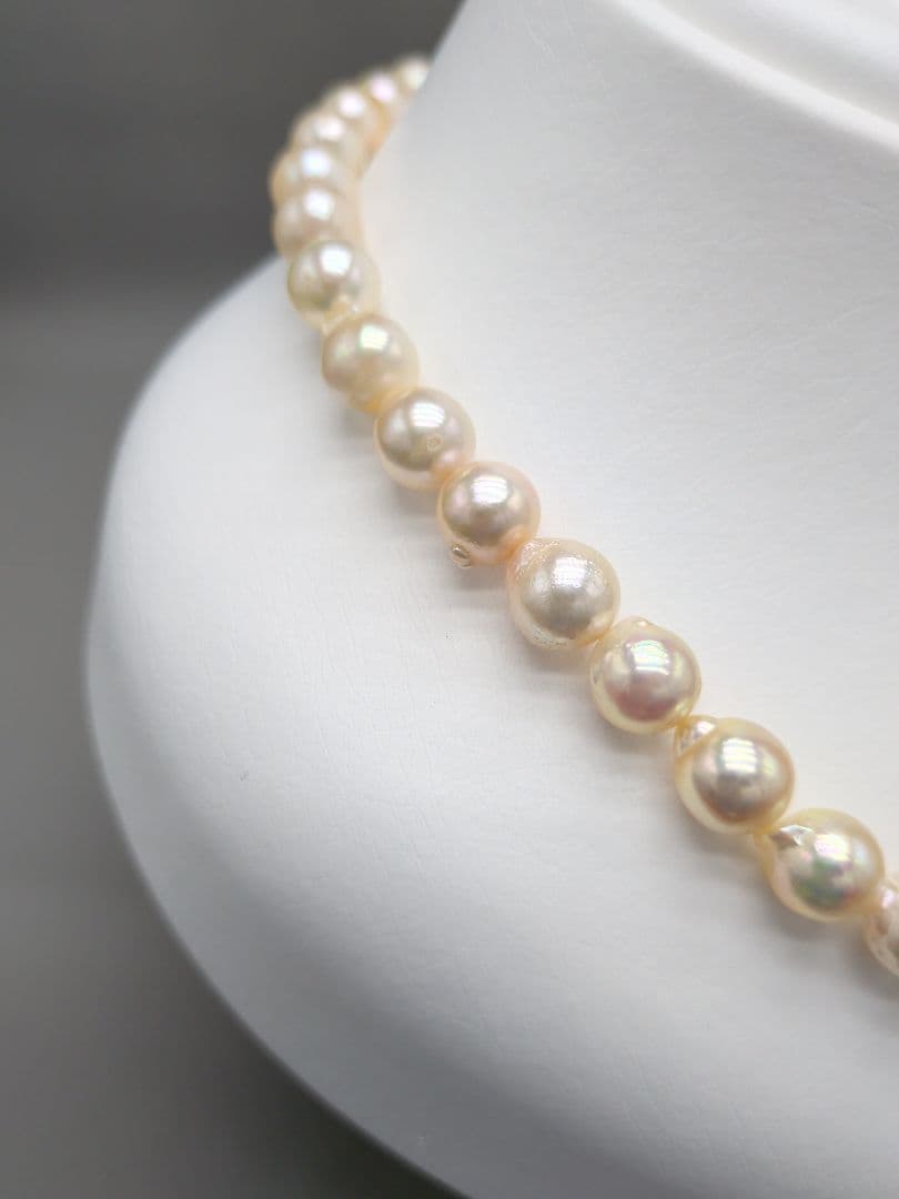 Akoya genuine pearl necklace 8.5–9mm Aurora Champagne series 42.2cm with silver clasp
