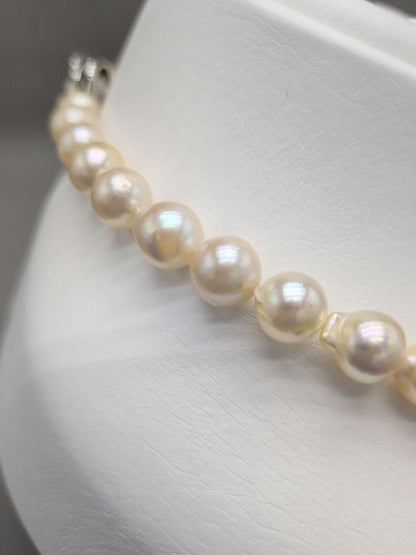 Akoya genuine pearl necklace 8.5–9mm Aurora Champagne series 42.2cm with silver clasp