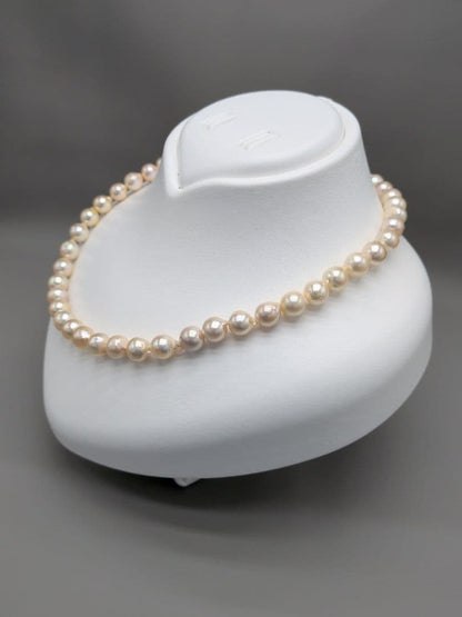 Akoya genuine pearl necklace 8.5–9mm Aurora Champagne series 42.2cm with silver clasp
