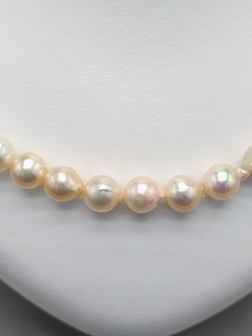 Akoya genuine pearl necklace 8.5–9mm Aurora Champagne series 42.2cm with silver clasp