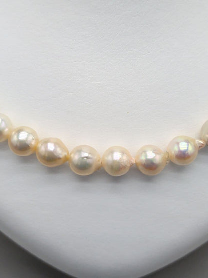 Akoya genuine pearl necklace 8.5–9mm Aurora Champagne series 42.2cm with silver clasp