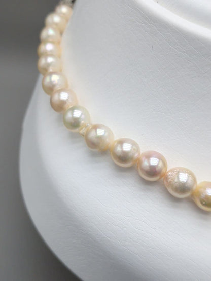 Akoya genuine pearl necklace 8.5–9mm Aurora Champagne series 42.2cm with silver clasp
