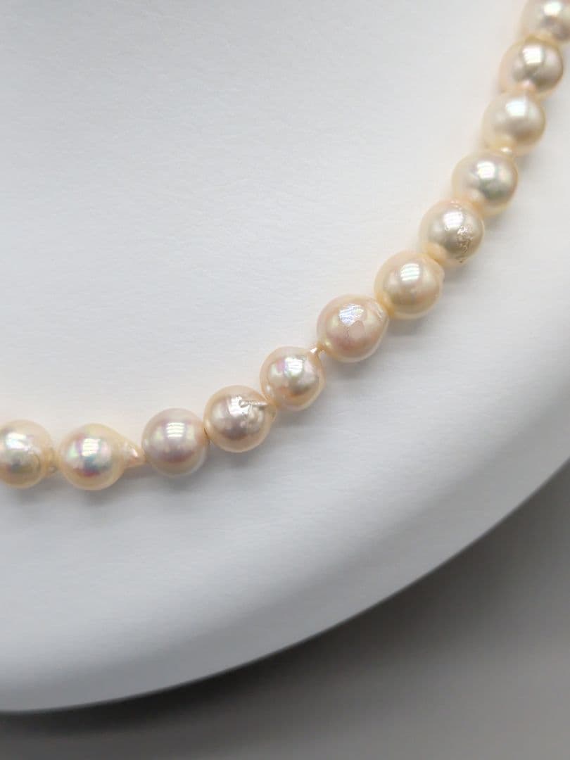 Akoya genuine pearl necklace 8.5–9mm Aurora Champagne series 42.2cm with silver clasp