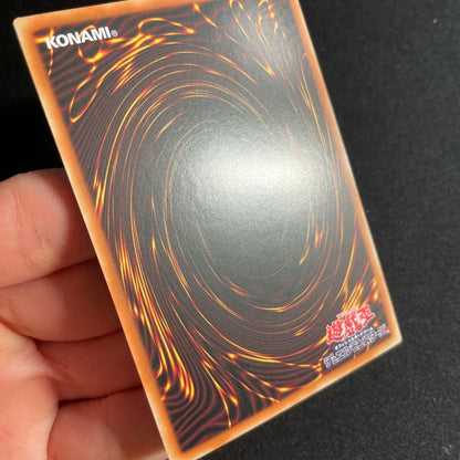 Yu-Gi-Oh The Light and Darkness Dragon — Japanese