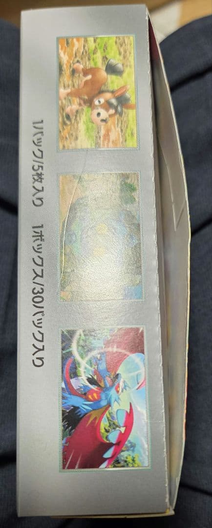Pokemon Pokémon Card Game Wild Force Box Box — Japanese