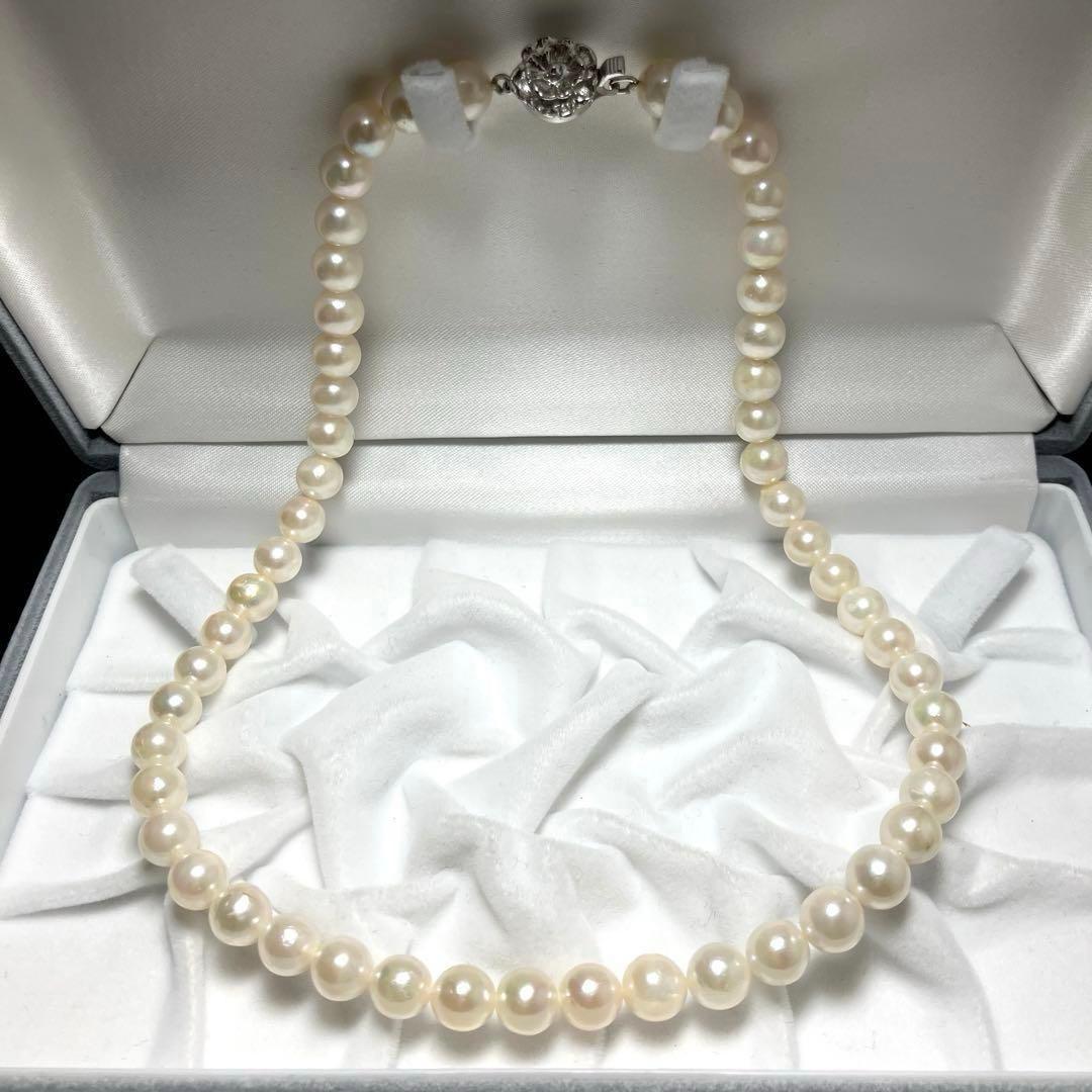 Oyster pearl necklace with white pearls sized 7.5-8.5mm on a 42cm silver chain with silver clasp