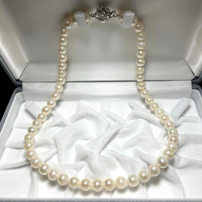 Oyster pearl necklace with white pearls sized 7.5-8.5mm on a 42cm silver chain with silver clasp