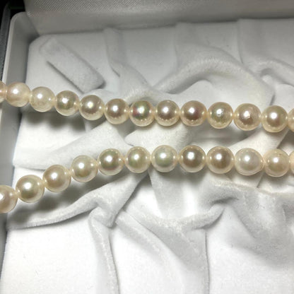 Oyster pearl necklace with white pearls sized 7.5-8.5mm on a 42cm silver chain with silver clasp