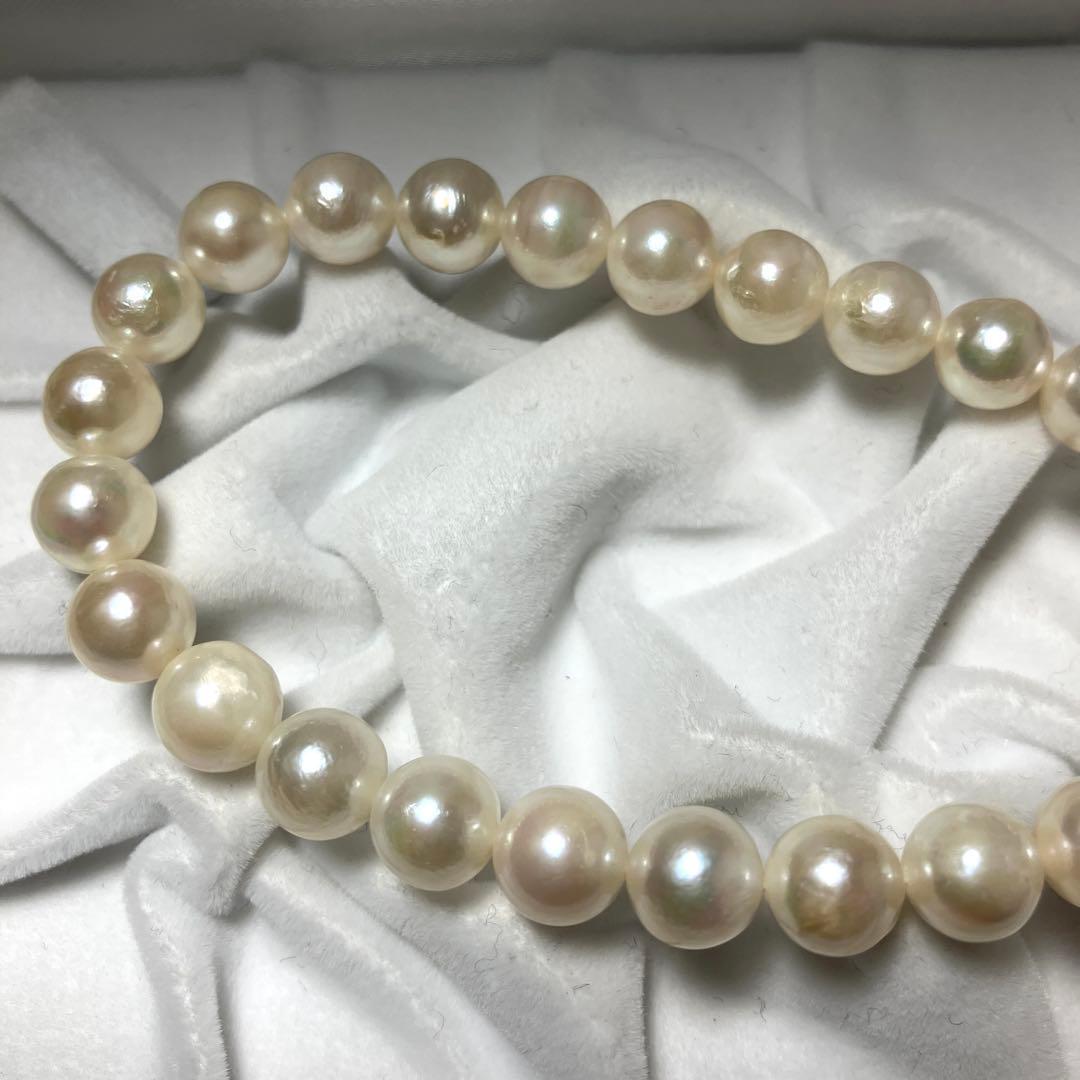 Oyster pearl necklace with white pearls sized 7.5-8.5mm on a 42cm silver chain with silver clasp