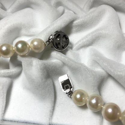 Oyster pearl necklace with white pearls sized 7.5-8.5mm on a 42cm silver chain with silver clasp