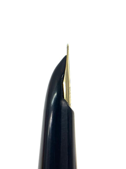 PILOT fountain pen with 14K inset nib in Bordeaux color on white background