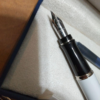 Waterman Fountain Pen Expert DX unused new product with sleek black barrel and gold accents