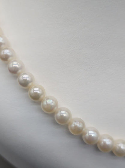 Kuro Akoya genuine pearl necklace with white 7-7.5mm pearls and silver clasp, 42.7cm length