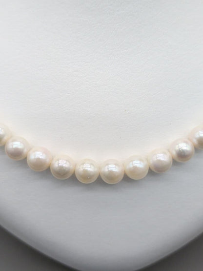 Kuro Akoya genuine pearl necklace with white 7-7.5mm pearls and silver clasp, 42.7cm length