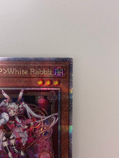 Yu-Gi-Oh Malice <P> White Rabbit 25th — Japanese