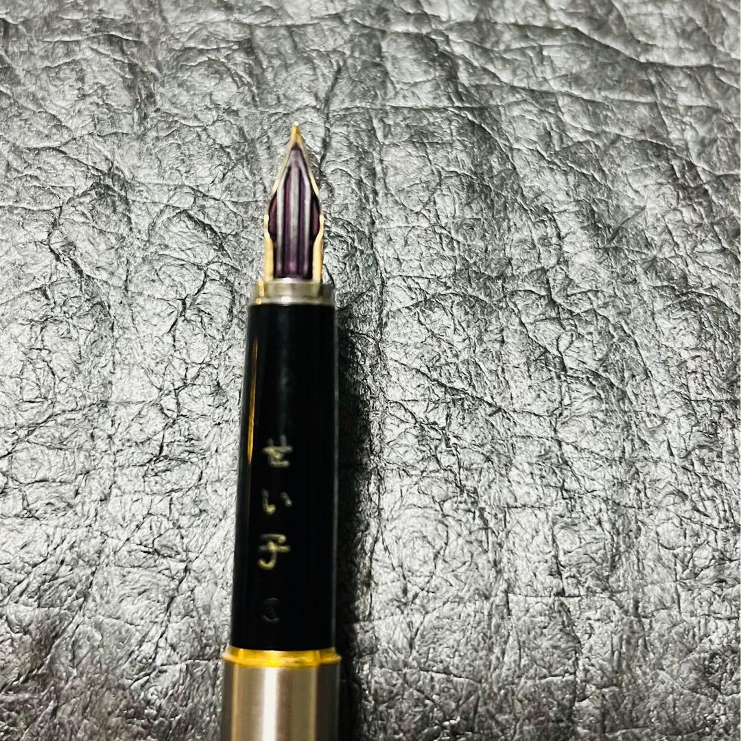 Two Pilot 14K U Fountain Pens from 1974 with fine nib size shown side by side