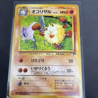 Pokemon Southern Island Tropical Island #1 Jungle Set of 3 — Japanese