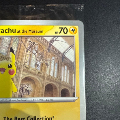 Pokemon Pikachu Pack — Japanese