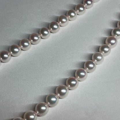 Akoya pearl necklace with 7.5-8.0mm pink white pearls and silver clasp on a white background