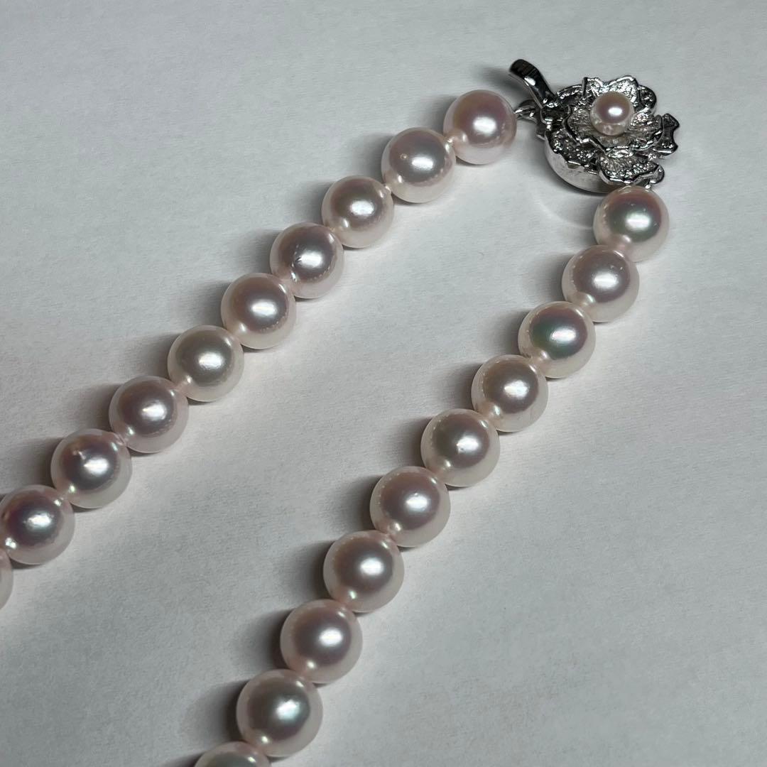 Akoya pearl necklace with 7.5-8.0mm pink white pearls and silver clasp on a white background