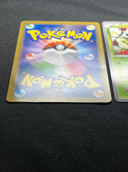 Pokemon Chespin — Japanese