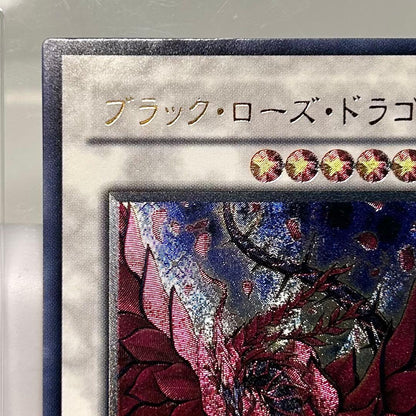 Yu-Gi-Oh Black Rose Dragon — Japanese