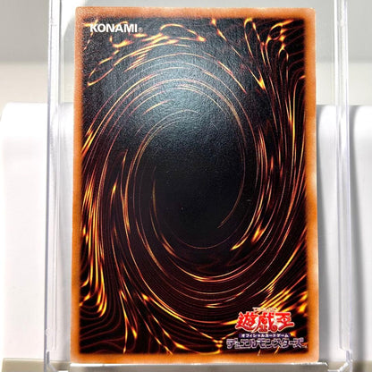 Yu-Gi-Oh Black Rose Dragon — Japanese