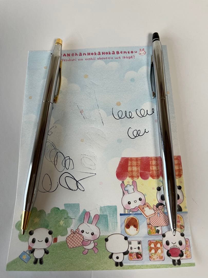 Set of 2 used Cross ballpoint pens without box, shown for home use