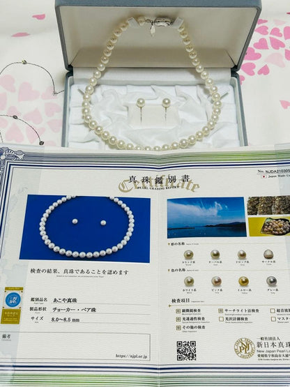Akoya pearl choker necklace with matching pair of pearl earrings on white background