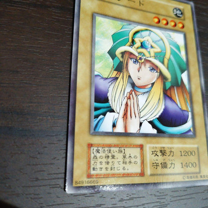 Yu-Gi-Oh Druidess of the Obedient Awakening — Japanese