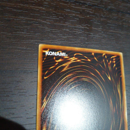 Yu-Gi-Oh Druidess of the Obedient Awakening — Japanese
