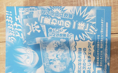 One Piece Luffy — Japanese