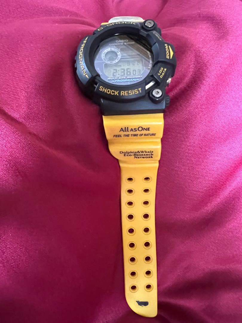 CASIO GW-204-9JR Digital Men's Watch — Japanese