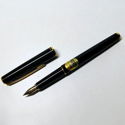 PILOT Fine Tip F Fountain Pen unused with fine tip and sleek design