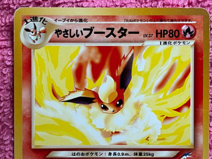 Pokemon Jolteon — Japanese