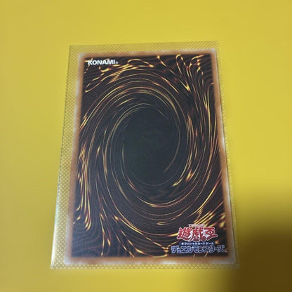 Yu-Gi-Oh 18 Dragonmaid Chaim — Chinese