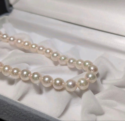 Akoya pearl necklace 43cm long with white real pearls on a necklace chain