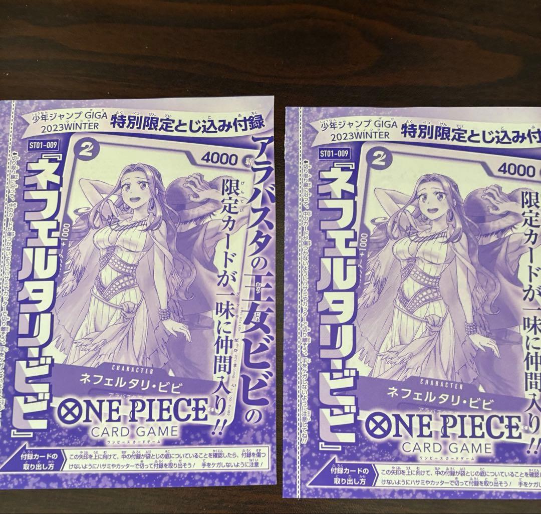 One Piece Nefertari Vivi WINTER — Japanese