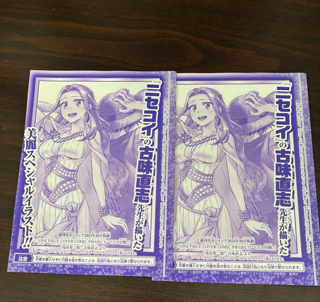 One Piece Nefertari Vivi WINTER — Japanese
