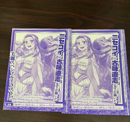 One Piece Nefertari Vivi WINTER — Japanese